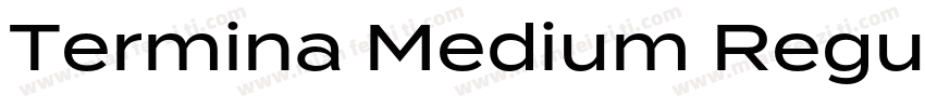 Termina Medium Regular字体转换